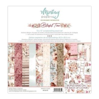 Kit de papier pour scrapbooking par Blissful Time - Artis decor - 12 feuilles