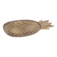 Nettoyeur de poche en ananas naturel 30 x 19 cm - DCasa