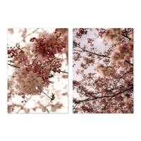 Toile fleurs arbre 50 x 70 cm - DCasa - 1 unité