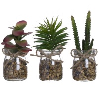 Cactus artificiel avec pot en verre et ruban de jute assorti 5,5 x 12 cm