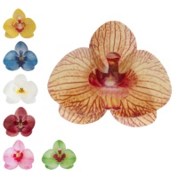 Gaufrettes de fleurs d'orchidées 8,5 x 7,5 cm - Dekora - 10 pcs.