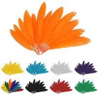 Plumes de couleur naturelle 2,5 x 14 cm - 60 pièces.