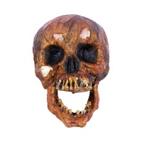 Crâne à l'aspect brûlé 16 x 15 x 21 cm