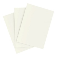Feuilles de papier de sucre comestible imprimables A4 - Pastkolor - 25 pcs.