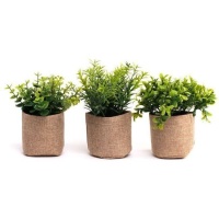 Plante artificielle avec jardinière en jute assortie 8 x 17 cm