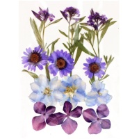 Fleurs pressées séchées Mélange violet - Artemio - 12 unités