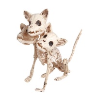 Squelette de chien avec 3 têtes de 34 cm