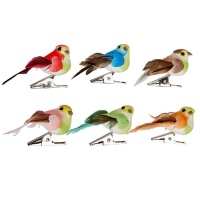 Set de mini oiseaux décorés avec pince à épiler - 6 pcs.