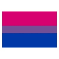 Drapeau bisexuel 0,90 x 1,50 m