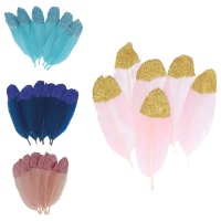 Plumes décoratives avec paillettes - 6 pcs.