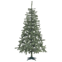 Arbre de Noël Douglas 6' Tree