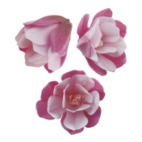 Gaufrettes de fleurs de magnolia 6,5 cm - Dekora - 6 unités