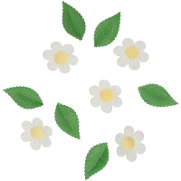 Galettes de fleurs avec feuilles - 11 unités