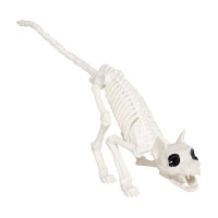 squelette de chat, 48 cm