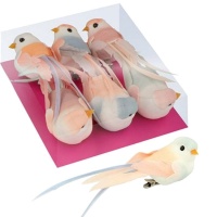 Set d'oiseaux décorés en pastel moyen avec pince à épiler - 6 pcs.