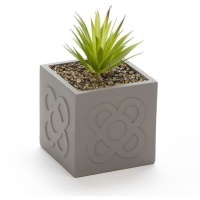 Plante cactus artificielle avec pot Panot transparent, 13 x 13 cm
