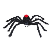 60 cm araignée noire velue à dos rouge