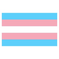 Drapeau transsexuel 0,90 x 1,50 m