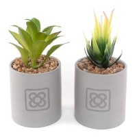 Plante cactus artificielle avec pot Panot assorti 8,2 x 9 cm