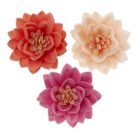 Gaufrettes de fleurs de lotus en 3 couleurs 7 cm - Dekora - 15 unités