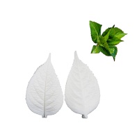 Moule à texturer en silicone pour feuilles d'hortensia 6 x 3,5 cm - Pastkolor