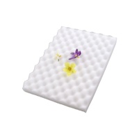 Tampon éponge pour le séchage des fleurs - Sweetkolor