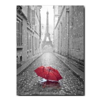 Paris parapluie toile 1,20 x 0,90 m - DCasa