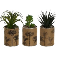 Plante artificielle avec jardinière en palmier 8 x 19 cm
