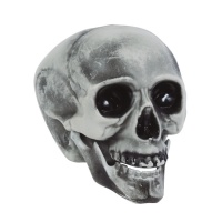 Crâne décoratif en plastique gris 16 cm