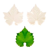 Moule en silicone pour texturer les feuilles de vigne 10 cm - Pastkolor