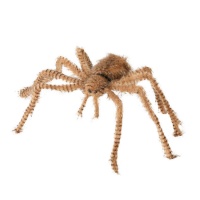 Araignée poilue brun clair de 75 cm