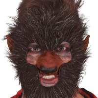 Set de cheveux pour visage de loup-garou