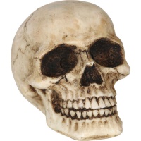 Crâne décoratif en résine de 8 cm