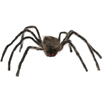 Araignée brune à longues pattes 75 cm