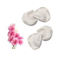 Moule en silicone pour texturer les pétales de lisianthus - Pastkolor - 2 unités