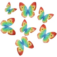 Galettes de papillons multicolores - 8 unités