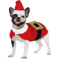 Costume de chien Père Noël