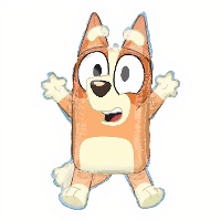 Ballon Bingo 81 x 58 cm