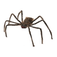 Araignée brune poilue de 75 cm