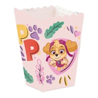 Grande boîte Paw Patrol - 12 pièces