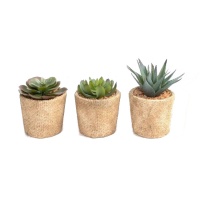 Plante cactus artificielle avec pot en ciment couleur assortie 12 x 11 cm