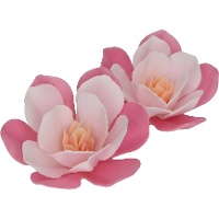 Galette de fleurs de magnolia de tailles assorties - FunCakes - 6 unités