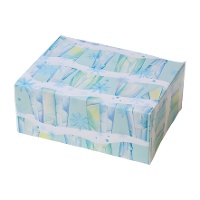 Boîte pour bonbons de glace 18 x 13,5 x 7,5 cm