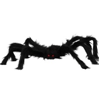 Araignée noire de 70 cm