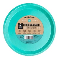 Assiettes en carton de 20,5 cm de couleur - 10 unités